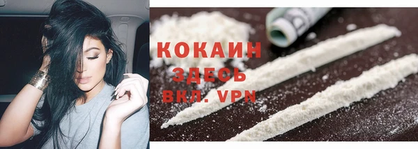 твердый Бронницы