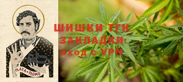 твердый Бронницы