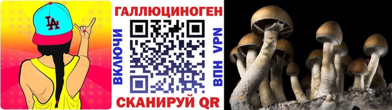 Галлюциногенные грибы GOLDEN TEACHER  Городец 