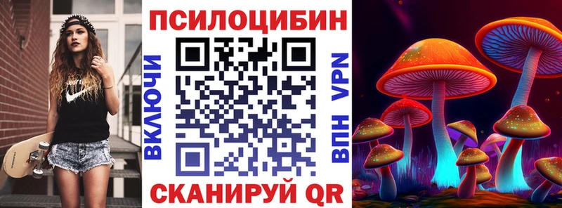 Псилоцибиновые грибы мицелий Городец